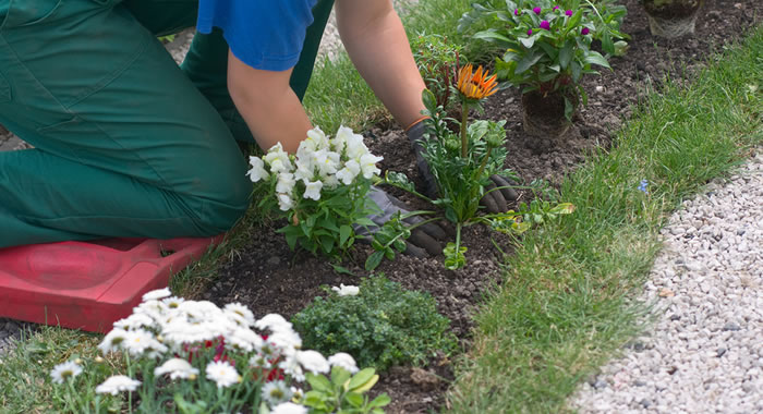 external-kitchen-renovation-yogi-aprelliyanto-detailed-outline-yogi-aprelliyanto